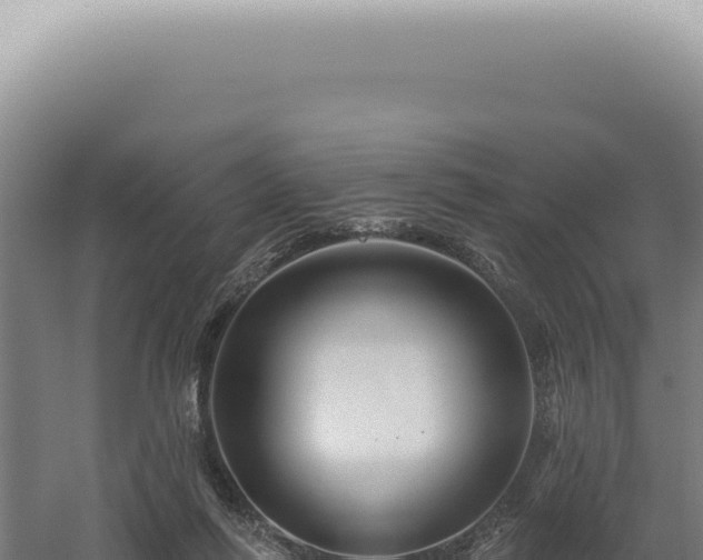 X0000060580262200511101704