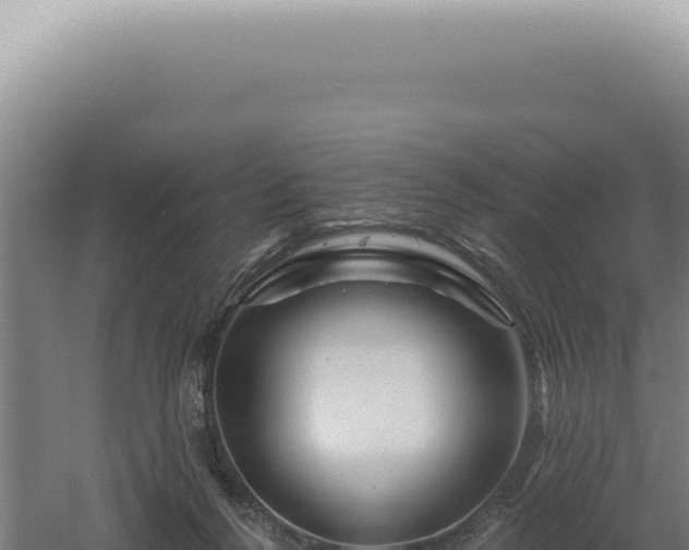 X0000060580264200511101704