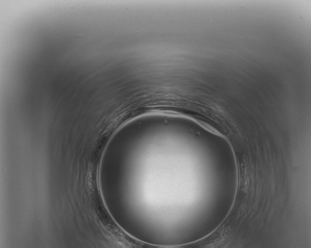 X0000060580266200511101704