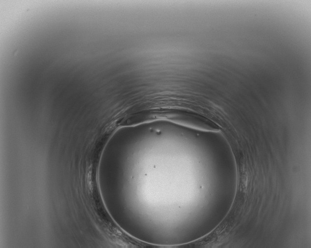 X0000060580267200511101704