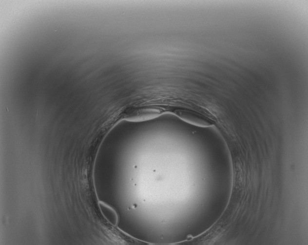 X0000060580269200511101704