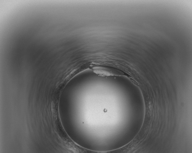 X0000060580270200511101704