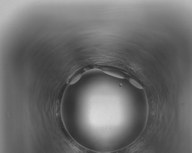 X0000060580273200511101704