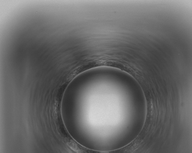 X0000060580275200511101704