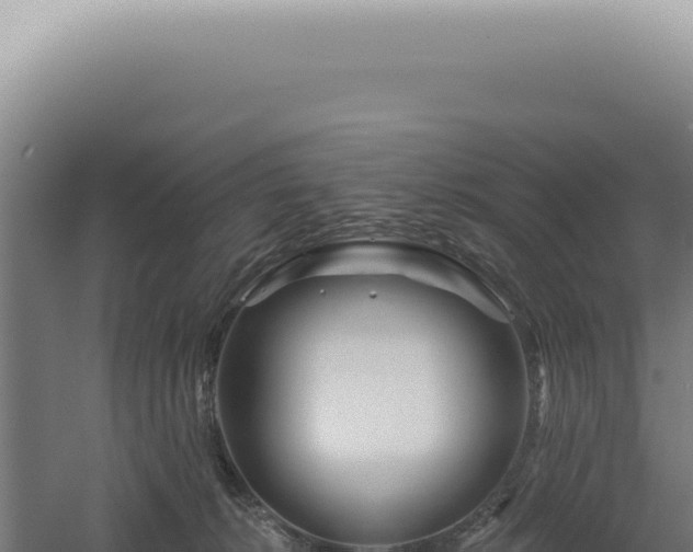 X0000060580276200511101704