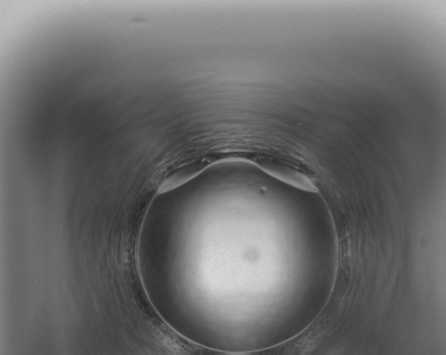 X0000060580277200511101704