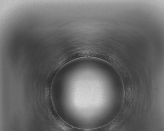 X0000060580278200511101704