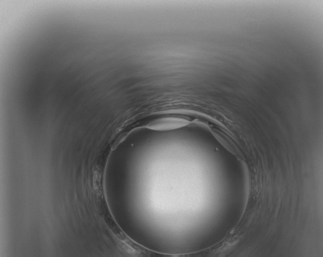 X0000060580281200511101704