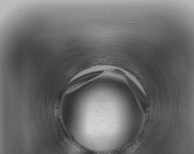 X0000060580285200511101704