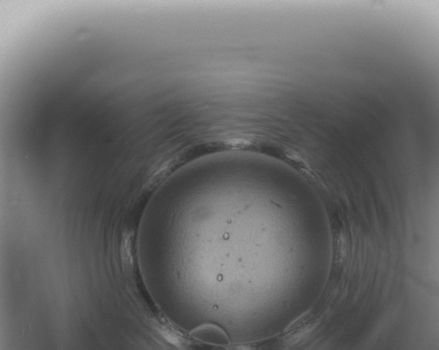 X0000060580286200511101704