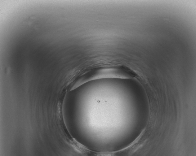 X0000060580288200511101704