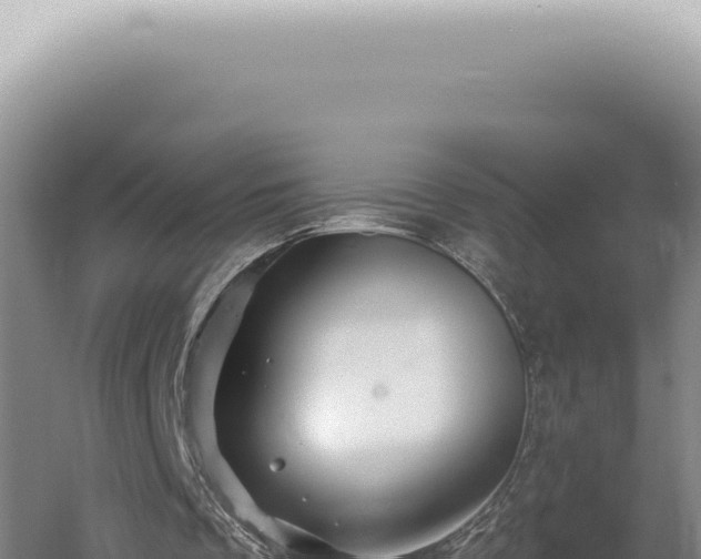 X0000060580289200511101703