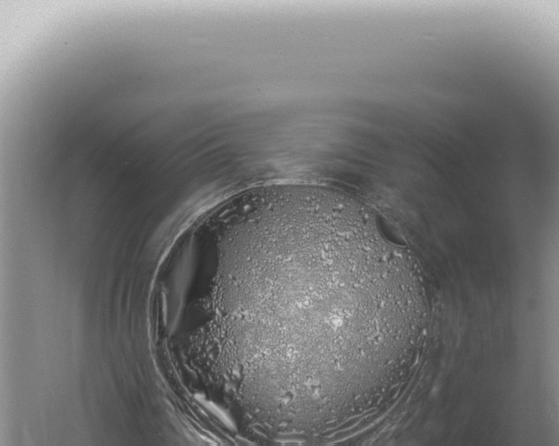 X0000060580290200511101703