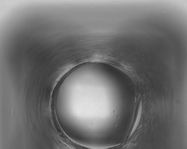 X0000060580292200511101703