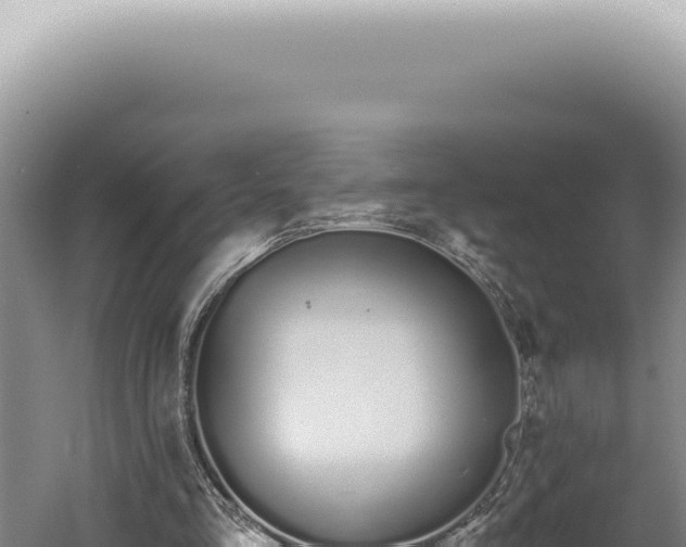 X0000060580293200511101703