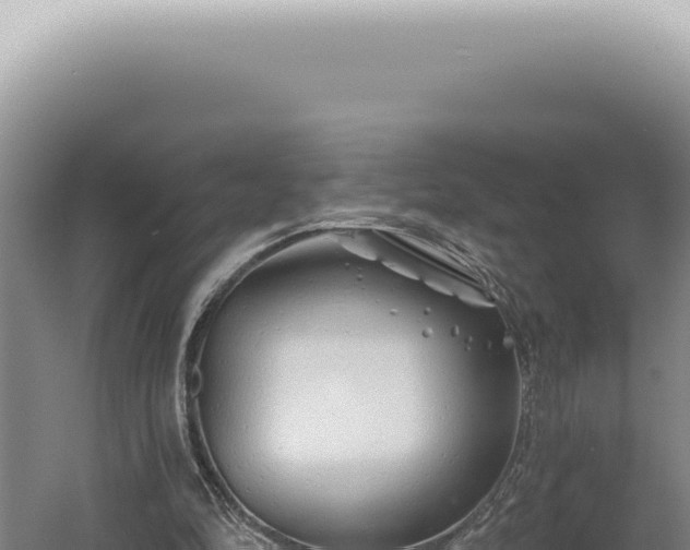 X0000060580294200511101703