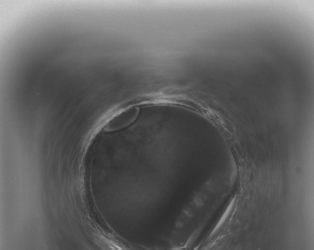 X0000060580295200511101703