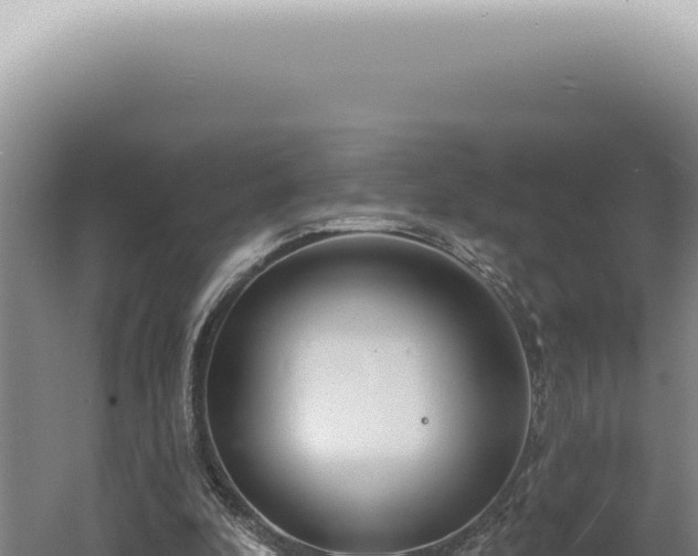 X0000060580296200511101703