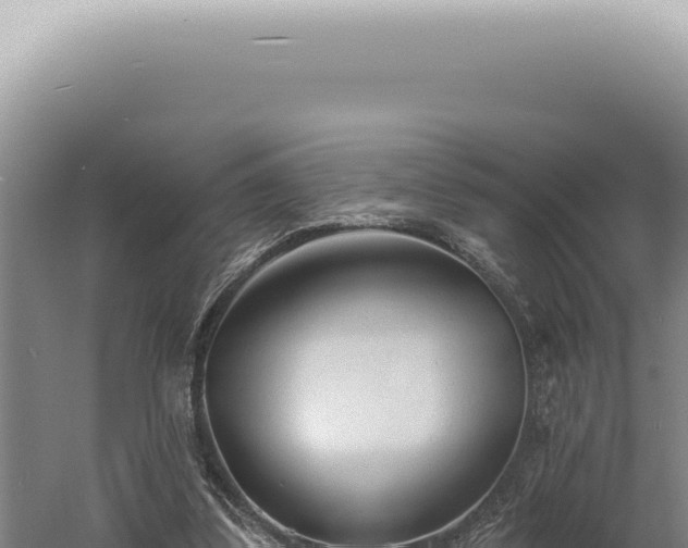 X0000060580299200511101703