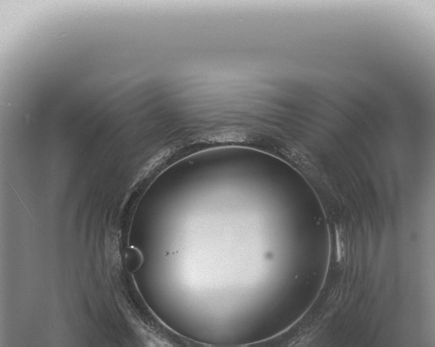 X0000060580300200511101703