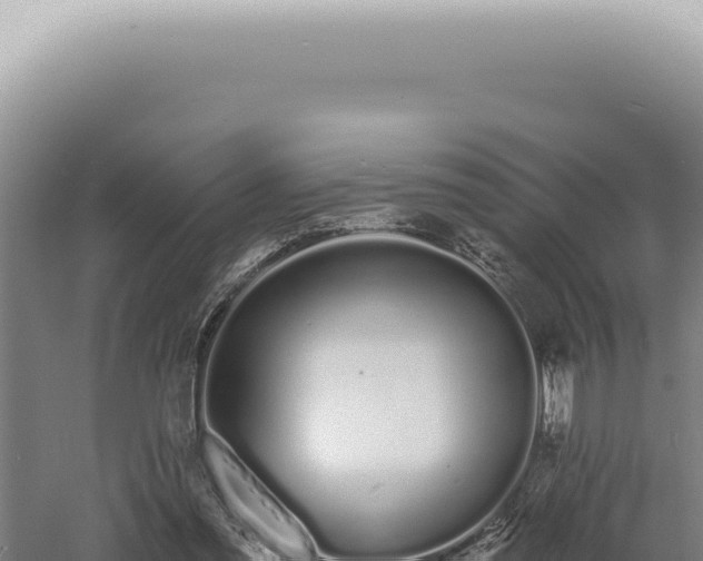 X0000060580301200511101703