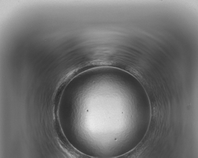 X0000060580302200511101703