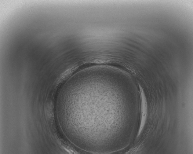 X0000060580303200511101703