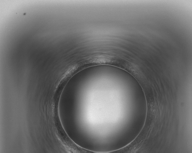 X0000060580304200511101703