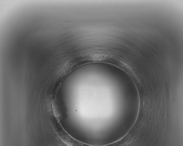 X0000060580307200511101703