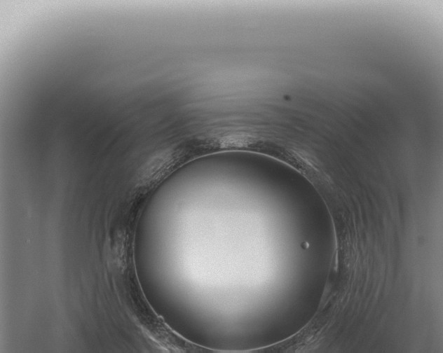 X0000060580311200511101703