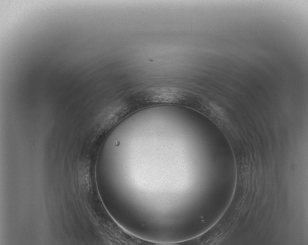 X0000060580312200511101703