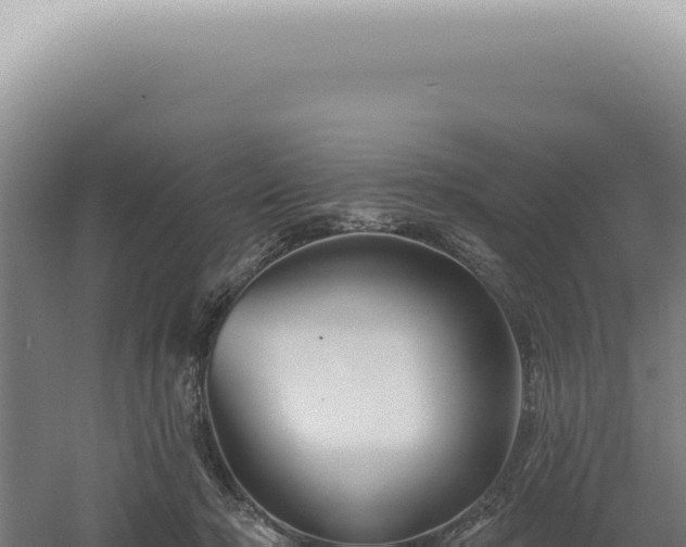 X0000060580318200511101703