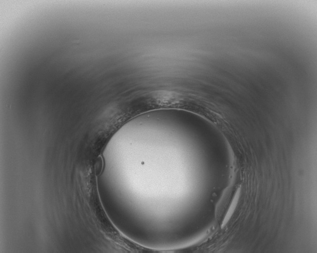 X0000060580319200511101703