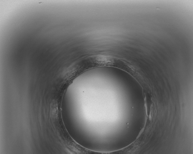 X0000060580320200511101703