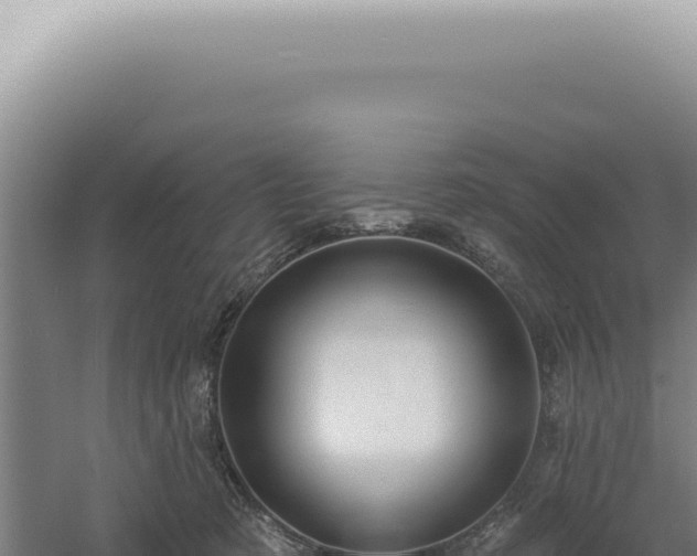 X0000060580321200511101703