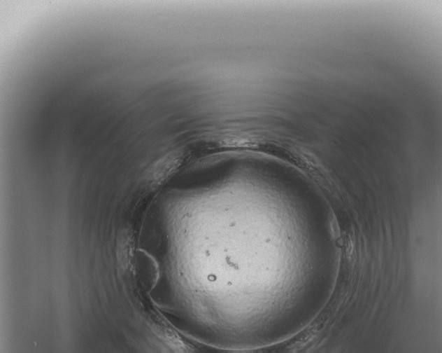 X0000060580322200511101703