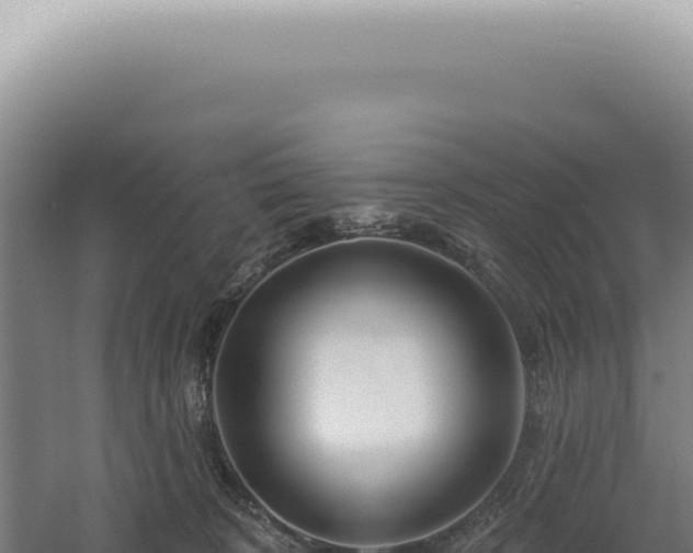 X0000060580324200511101703