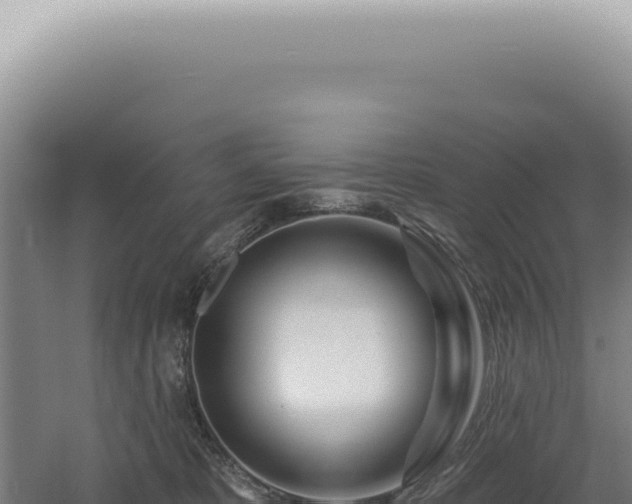 X0000060580325200511101703