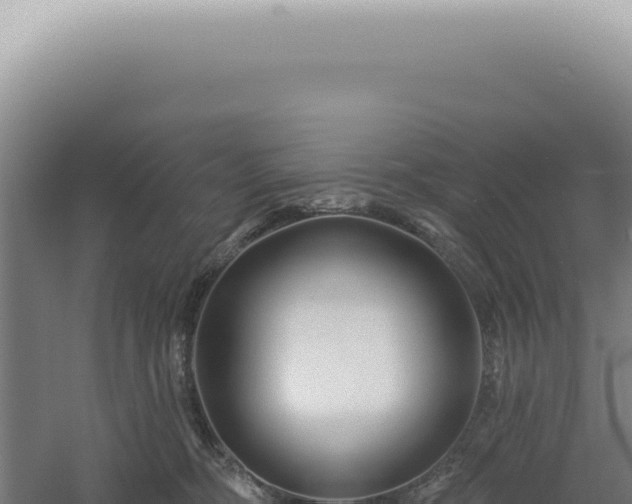 X0000060580326200511101703