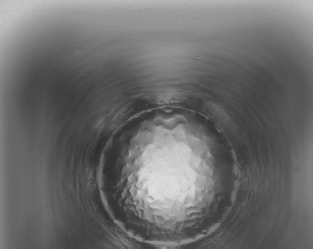 X0000060580327200511101703