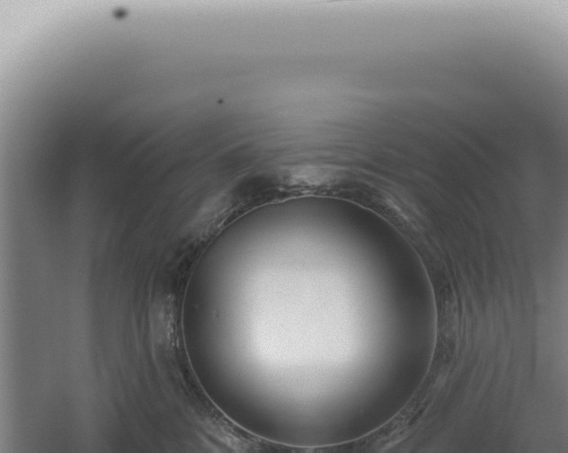 X0000060580328200511101702