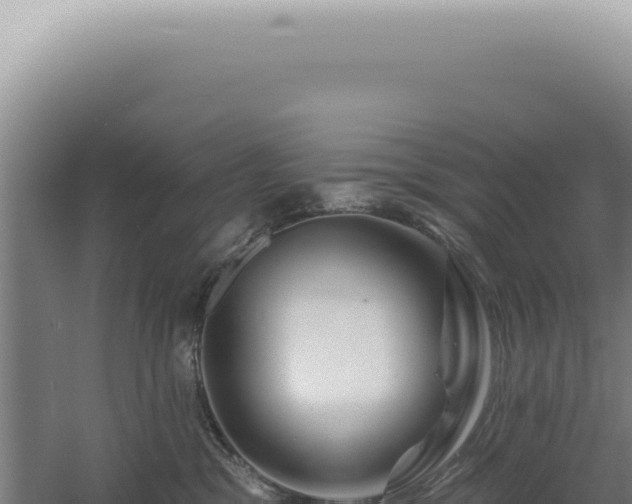 X0000060580329200511101702