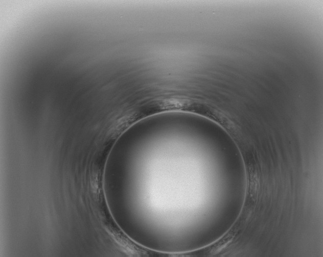 X0000060580331200511101702