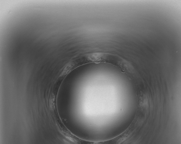 X0000060580332200511101702