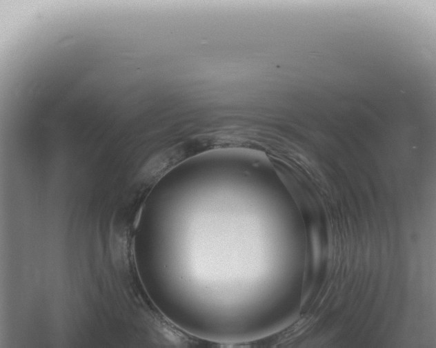 X0000060580333200511101702