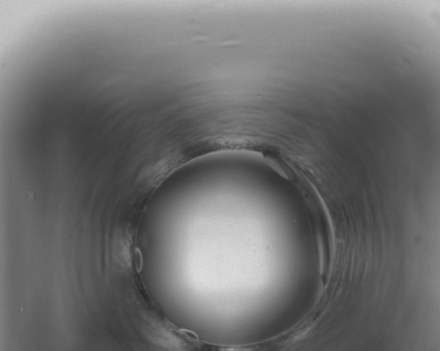 X0000060580334200511101702