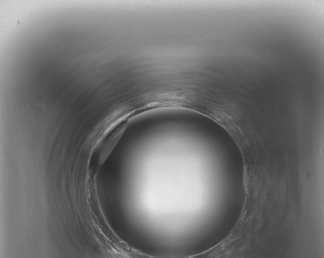 X0000060580338200511101702