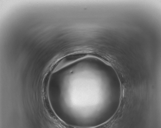 X0000060580339200511101702