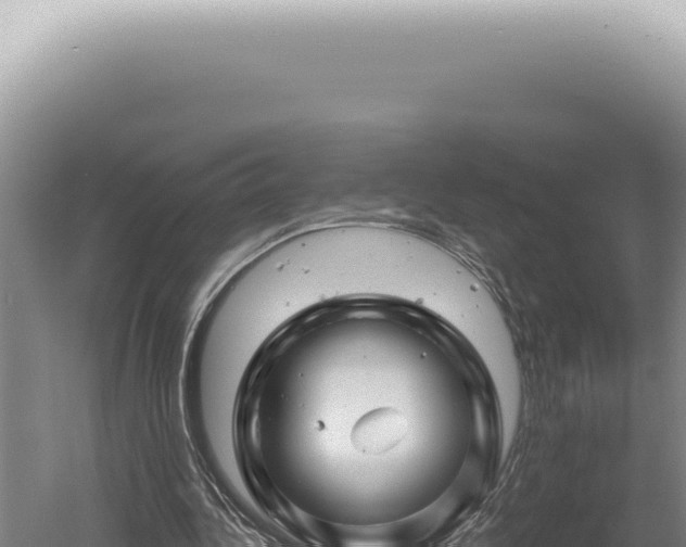 X0000060580340200511101702