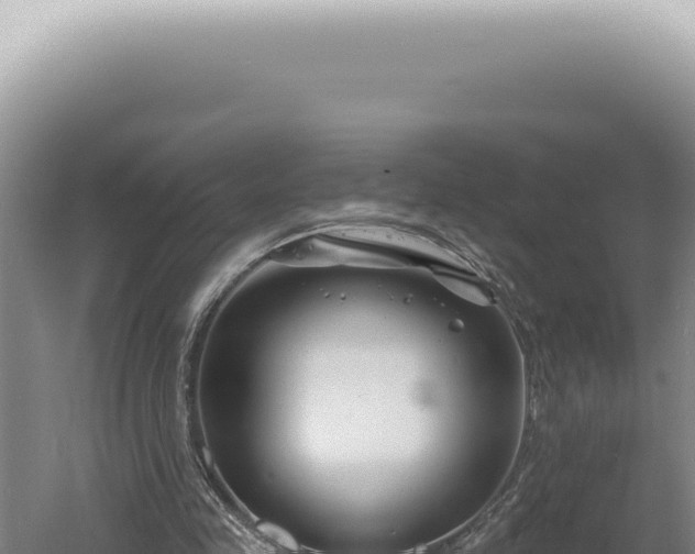 X0000060580341200511101702